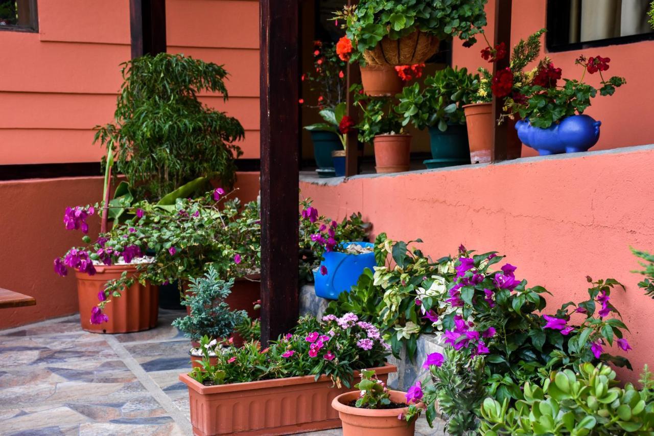Cabinas Eddy B&B Monteverde Екстериор снимка